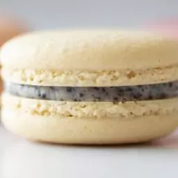 All unsere Macaronsorten sind frisch und handgemacht