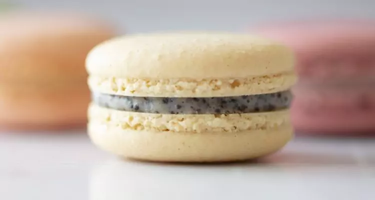 All unsere Macaronsorten sind frisch und handgemacht